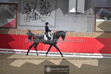 ref. photo 3503498