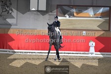 ref. photo 3503500