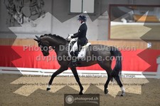 ref. photo 3503502
