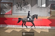 ref. photo 3503505
