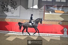 ref. photo 3503509
