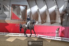 ref. photo 3503510