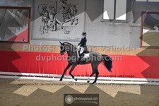 ref. photo 3503513