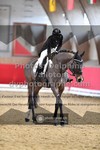 ref. photo 3503520