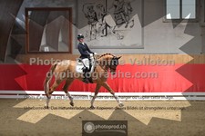 ref. photo 3503530