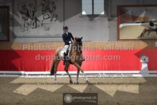 ref. photo 3503531