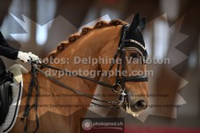 ref. photo 3503534