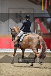ref. photo 3503535