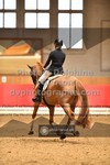 ref. photo 3503536