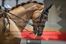 ref. photo 3503538
