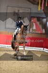 ref. photo 3503542