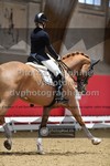 ref. photo 3503544