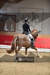 ref. photo 3503546