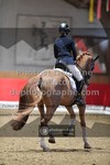 ref. photo 3503553