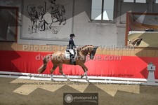 ref. photo 3503555