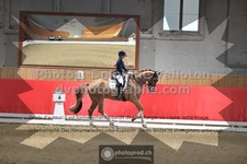 ref. photo 3503556