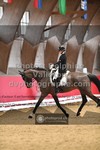ref. photo 3503577