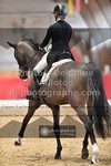 ref. photo 3503580