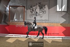 ref. photo 3503589