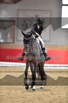 ref. photo 3503605