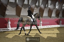 ref. photo 3503613