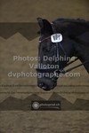 ref. photo 3503623