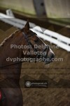 ref. photo 3503645