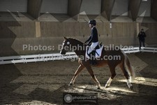 ref. photo 3503646