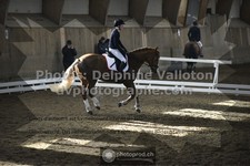 ref. photo 3503658