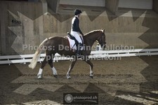 ref. photo 3503662