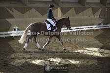 ref. photo 3503663