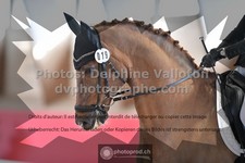 ref. photo 3503689