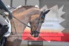ref. photo 3503690