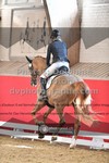 ref. photo 3503693