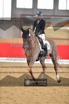 ref. photo 3503698