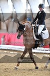 ref. photo 3503701