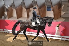 ref. photo 3503732