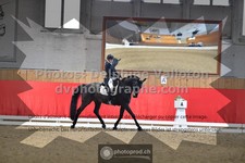 ref. photo 3503736