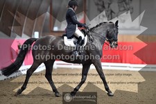 ref. photo 3503739