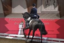 ref. photo 3503742