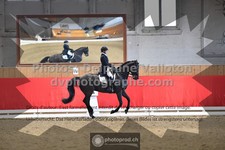 ref. photo 3503755