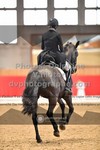 ref. photo 3503762