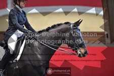 ref. photo 3503769