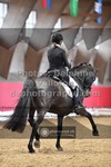ref. photo 3503778