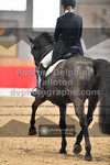 ref. photo 3503794