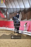 ref. photo 3503800