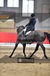 ref. photo 3503801