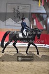 ref. photo 3503802