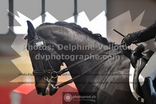 ref. photo 3503804