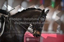 ref. photo 3503805